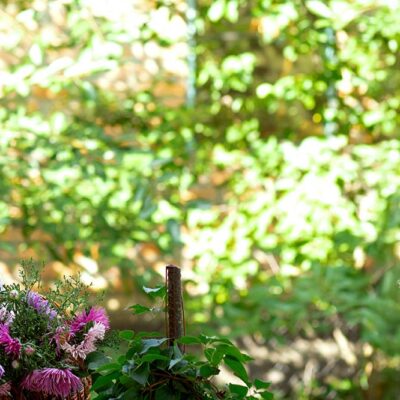 How To Pay For Assisted Living | Stellar Care